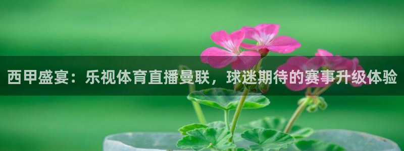 jrkan2023直播体育网：西甲盛宴：乐视体育直播曼联，球迷期待的赛事升级体验