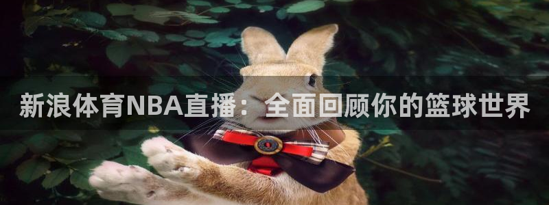 jrkan直播体育nba：新浪体育NBA直播：全面回顾你的篮球世界