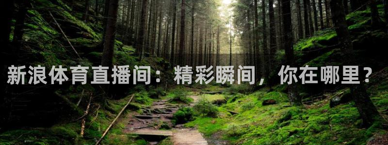 jrkan直播体育nba：新浪体育直播间：精彩瞬间，你在哪里？