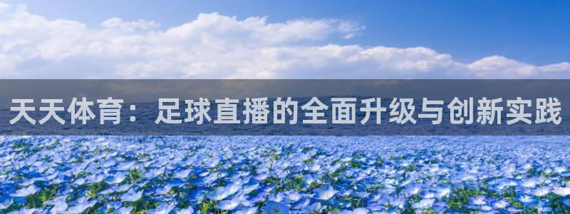 jrkankan直播体育网：天天体育：足球直播的全面升级与创新实践