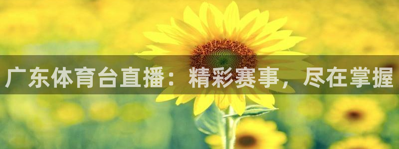 jrkan nba直播：广东体育台直播：精彩赛事，尽在掌握