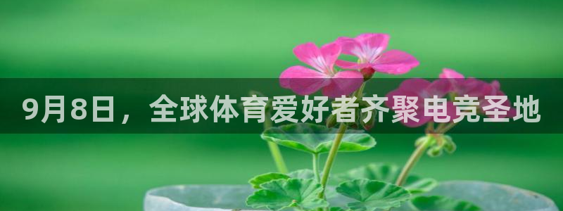 jrkan直播体育：9月8日，全球体育爱好者齐聚电竞圣地