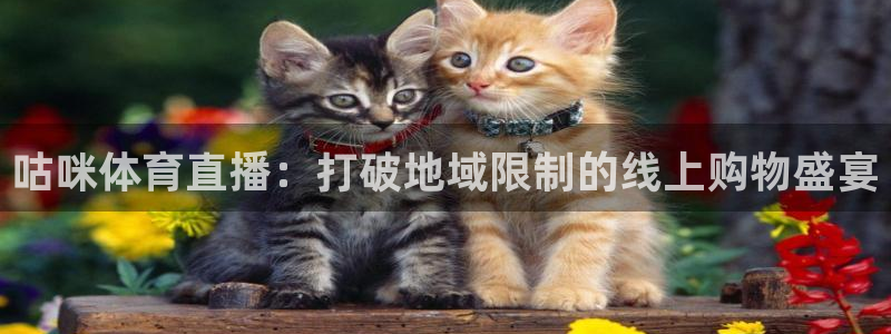 jrkan低调看高清直播nba：咕咪体育直播：打破地域限制的线上购物盛宴